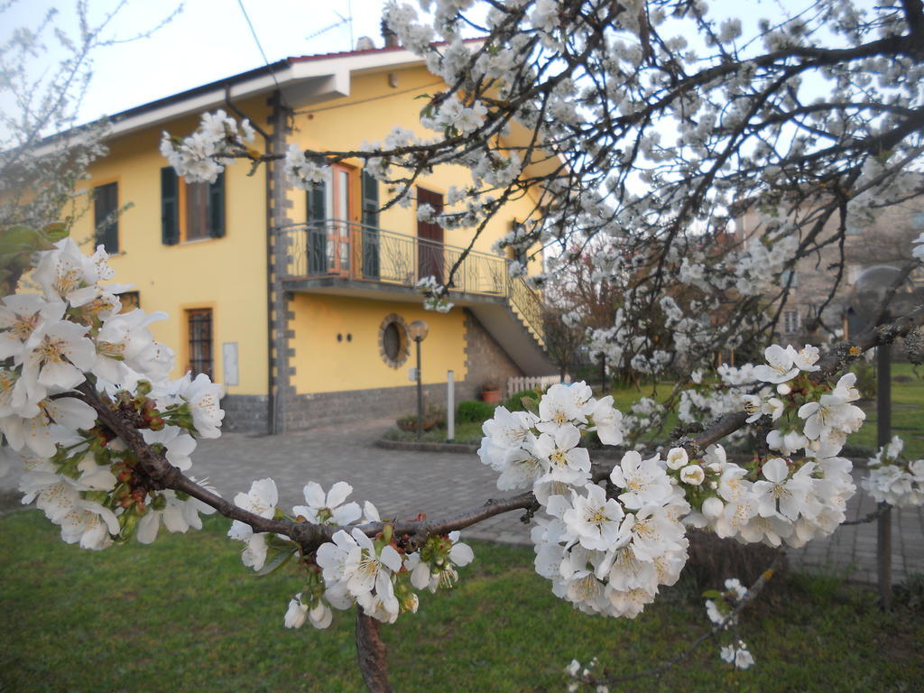 B&B Pervinca Rocca Grimalda Экстерьер фото